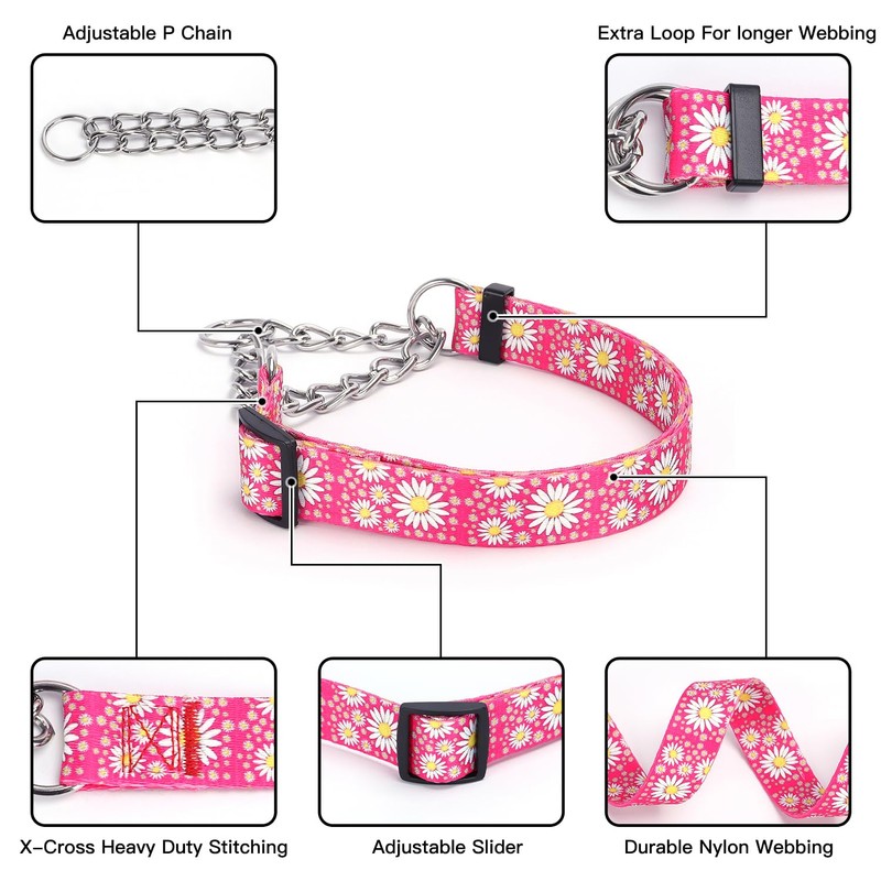 haoyueer Martingale Dog Collar with Stainless Steel Chain - Cute