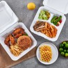 ECOLipak 50 Pack Clamshell Take Out Food Containers, 100% Compostable