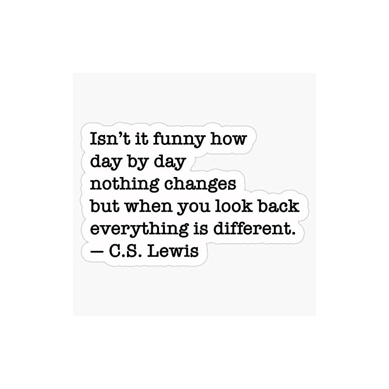 C.S. Lewis Quote About Life Bumper Sticker Vinyl Decal 5
