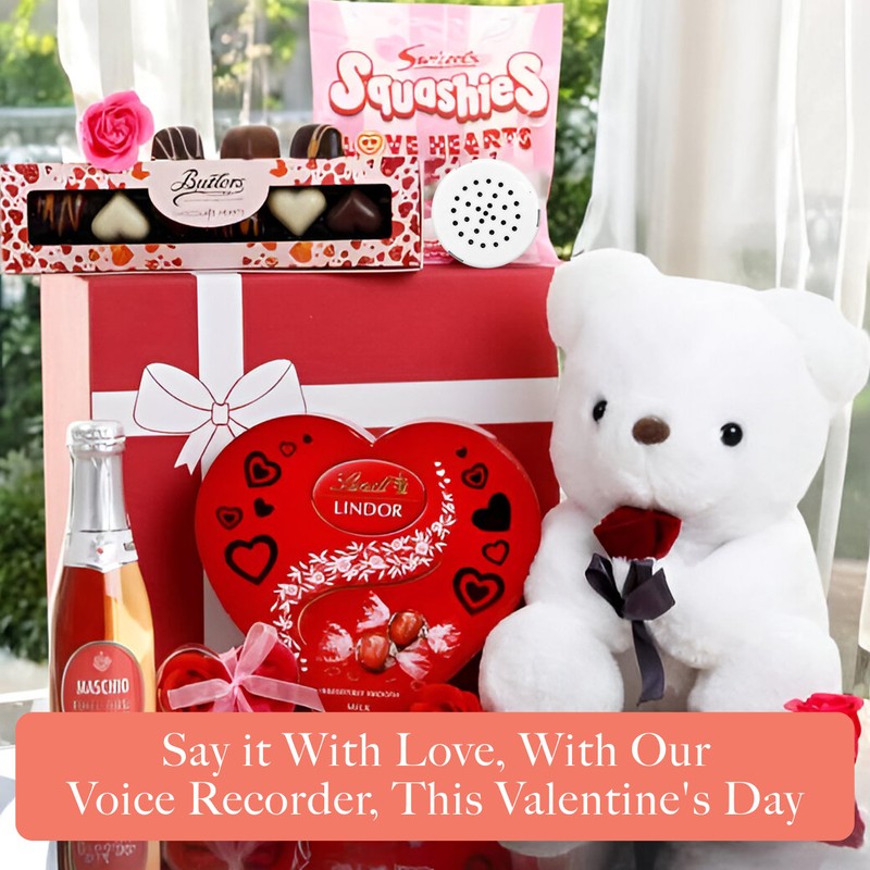 VOICEGIFT VoiceGift 60 Second Multi-Message Voice Recorder, Record Custom Messages