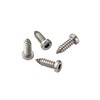 License Plate Screws 1/4-3/4, Self-Tapping, Stainless Steel (Silver)
