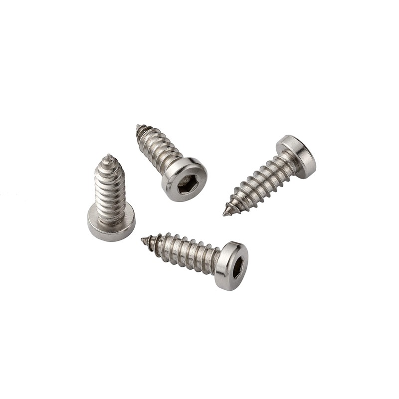 License Plate Screws 1/4-3/4, Self-Tapping, Stainless Steel (Silver)