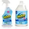 OdoBan Ready-to-Use Disinfectant and Odor Eliminator, Made in the USA,