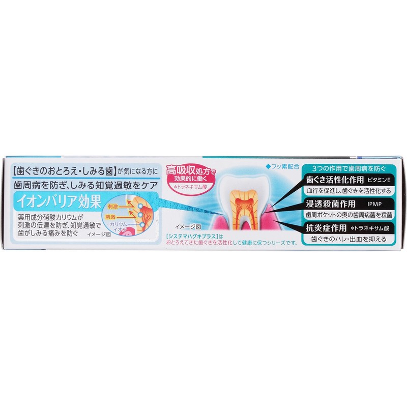 Systema Haguki Plus S Toothpaste 95G