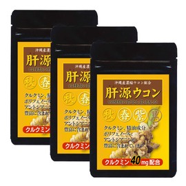 大日ヘルシーフーズ 肝源ウコン 90粒入×3袋 春ウコン 秋ウコン 紫ウコン 黒ウコン 配合 錠剤タイプ サプリ