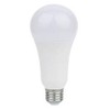 Satco S8543 Light Bulb, Frosted White