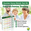 Osumex Heavy Metals Test Kit Regular Iron Test Kit- 1