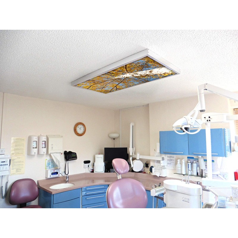 Fluorescent Light Cover for Classroom Ceiling Lights - Premium Backlit