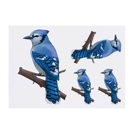 4 x 'Blue Jay on a Branch' Temporary Tattoos - Water Resistant, Skin-Safe, Non-Toxic Transfers, Mixed Sizes (TO00085046)