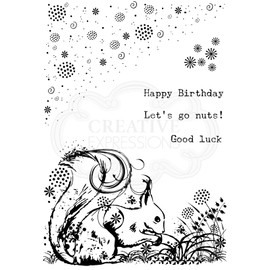 Creative Expressions Designer Boutique-Woodland Walk Collection-Sammy Squirrel-Clear Stamp, A6 Size Set