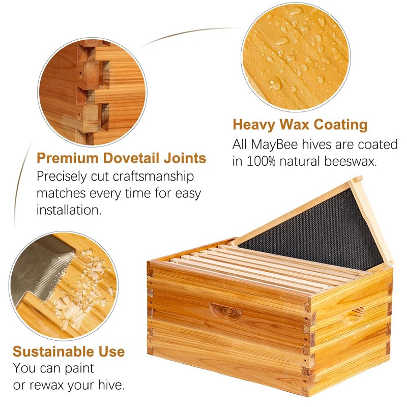 10-Frame Beehive Box Langstroth Deep Brood Box Dipped in 100%