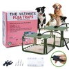 Flea Traps for Inside Your Home, Flea Killer Trap Indoor