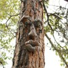 Romeeton Tree Hugger Resin Old Man Bark Ghost Face Funny