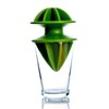 Citrange - Lemon Squeezer Standard Lime