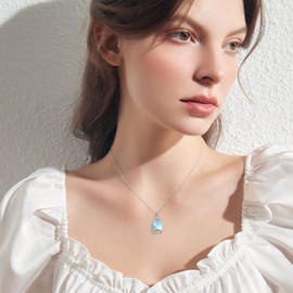 YAFEINI Dog Ashes Necklace Sterling Silver Rainbow Bridge Dog Urn Necklace for Ashes Rainbow Bridge Pet Cremation Jewelry for Women