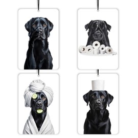 ChenCraty air fresheners -279black-GH-XHP4