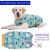 kzrfojy Dog Surgery Recovery Suit Dog Surgical Onesie for Female