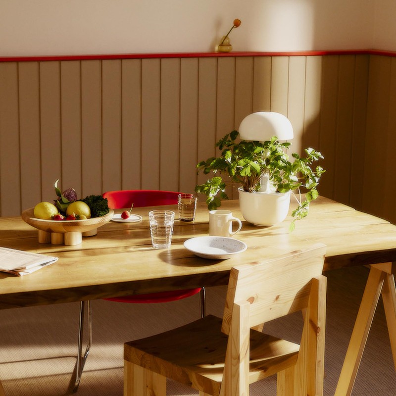 Kalapanta - Seedless Refill Compatible with Plantui Smart Garden (Pack