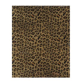 Pack of 5 Plotter Film Textile, 9.84 x 12 Inch Leopard Vinyl Film, Heat Transfer Vinyl, Transfer Paper for Iron-On Plotter, Heat Transfer Film Plotter