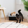 IRIS IRIS USA XX-Large Cat Litter Box, Open Top Extra