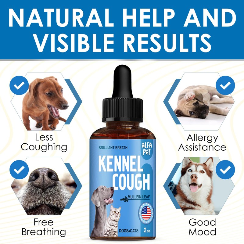 Dog Cough Treatment Liquid • Kennel Cough for Dogs &