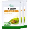 Lipsa C-181-3 Midnight Summer Plant, Approx. 1 Month Supply x