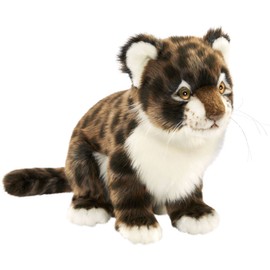 BH7128 HANSA ピューマ 仔 ３０