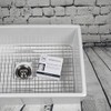Sinkology SinkSense Fireclay Sink Care Kit, Cleaner and Protect System,