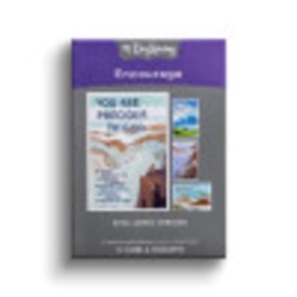 DaySpring - Encourage - You are Precious to God - King James Version - 4 Design Assortment with Scripture - 12 Encouragement Boxed Cards & Envelopes (J7448)