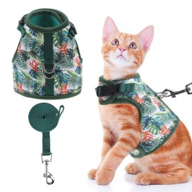 BINGPET Cat Harness and Leash Set Escape Proof for Walking,Step-in Harness with Lightweight Soft Breathable Mesh,Adjustable Easy Control Harness (Emerald Hues, L(Chest:12.5-16.5"))