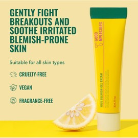 Good Molecules Yuzu Blemish Gel Cream - Lightweight Gel Moisturizer with Salicylic Acid (BHA) and Natural Extracts to Target Blemishes, Even Skin Tone, and Texture - Skin Care for Face