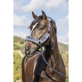 LeMieux Comfort Headcollar for Horses - Navy/Grey - Soft Fleece Lining - Adjustable & Durable - X Full