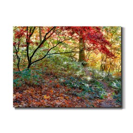 Renditions Gallery Autumn Leaves Wall Art, Colorful Foliage Artwork, Beautiful Fall Forest Scene, Premium Gallery Wrapped Canvas Décor, Ready to Hang, 24 in H x 36 in W, Made in America Print