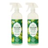 Absolute Green All Purpose Cleaner Spray, Non-Toxic, Kitchen, Bath, Countertop,