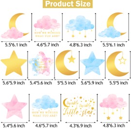 Twinkle Twinkle Little Star Gender Reveal Decorations 20pcs Blue and Pink Baby Shower Hanging Swirls Star Moon Cloud Theme Ceiling Streamer Decor for Boy or Girl Baby Shower Party Supplies
