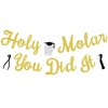 Holy Molar You Did It Banner, Hygienist Grad Bunting Sign, Hygiene Queen, Congrats RDH Dentist Graduation Party Decorations Supplies, Gold Glitter