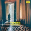 Parallels: Shellac Reworks By Christian Löffler [Vinyl LP]
