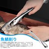 Coollooda Scale Remover Fish Scale Remover Stainless Steel Fish Scale