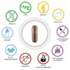 Cistrose/Cistus Incanus 10:1 Extract Capsules 400 mg without Additives Laboratory