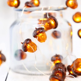 MIYA LIFE Acorn Lights Fall String Lights with Acorn Ornaments Orange Fairy Lights Battery Operated for Cute Fall Decor Fall Favorites Home Decor