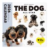 THE DOG 2026 Wall Calendar Large Size (All Star)
