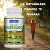 IMMUNORTH MUERDAGO 840 Mg MISTLETOE BOOSTER INMUNOLOGICO ALTA CONCENTRACION 180
