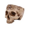 Creative Flower Pot, Resin Skull Shaped Head Design Flower Pot