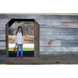 Mary Meyer Marshmallow Zoo Stuffed Animal Soft Toy, 13-Inches, Fawn