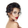 HIWIND Mesh Veil Headband Fascinators Hat 1920s Headpiece for Women
