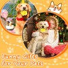 xinrongda Dog Toy, Indestructible Chew Toy, Dog, Paw Star Chew
