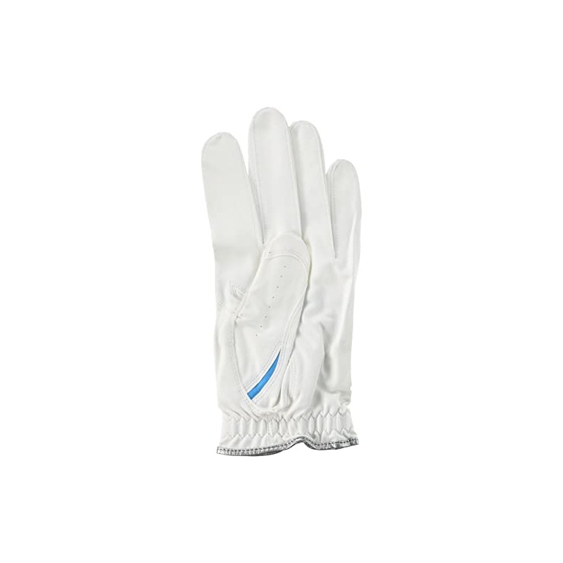 IOMIC Golf Glove X-FIT Men`s Accessories White x Blue 10.2
