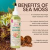 Dr.Girls More Volume Rice Water Hair Oil 6oz - Specification: