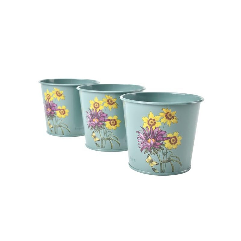 Burgon & Ball RHS Gift Herb Pots Asteraceae