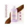 Shampoo Capilar Ceramidas & Acido Hialurónico 500ml